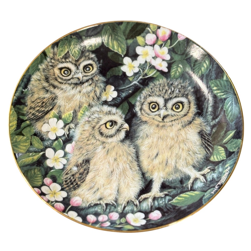 Danbury Mint Little Owls Collector Plate Dick Twinney Baby Owls 8" Gold Rim